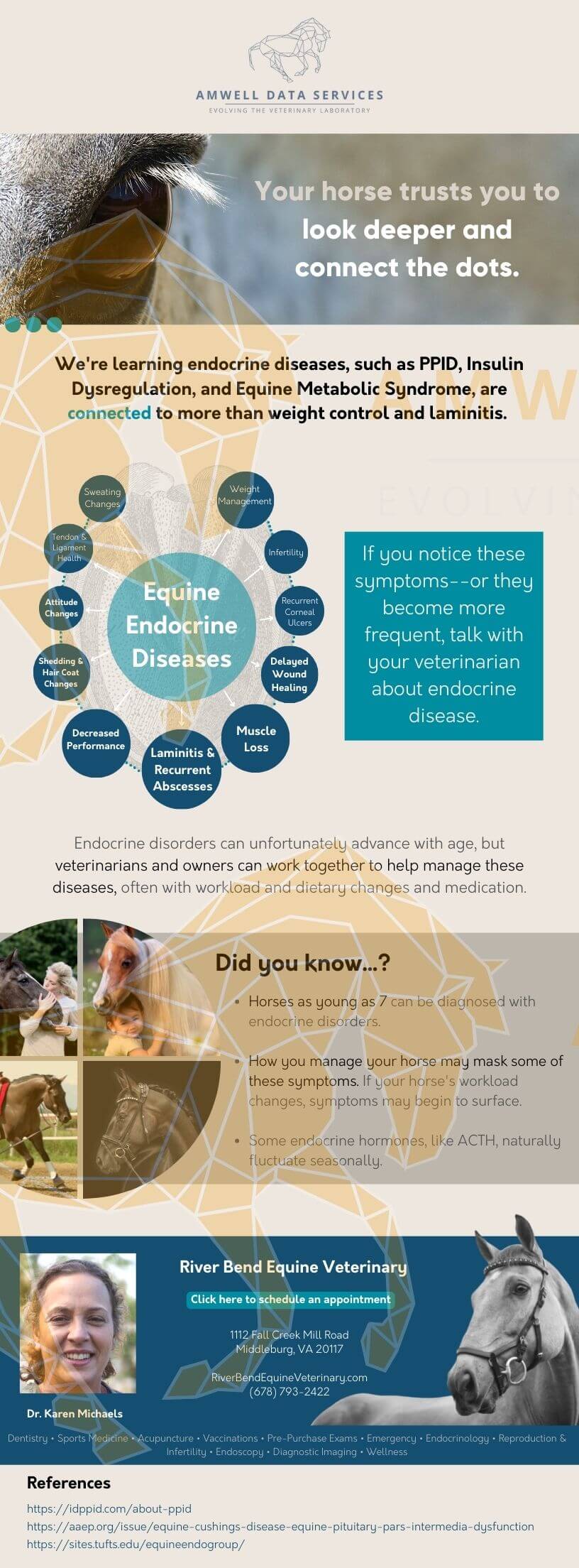Equine Endocrine Disease Informational Email Template