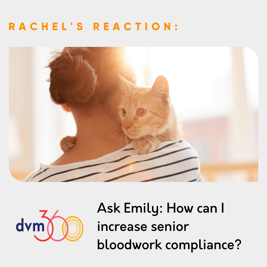Rachel's Reaction to dvm360's article by Emily Shiver: Ask Emily: How can I increase senior bloodwork compliance?