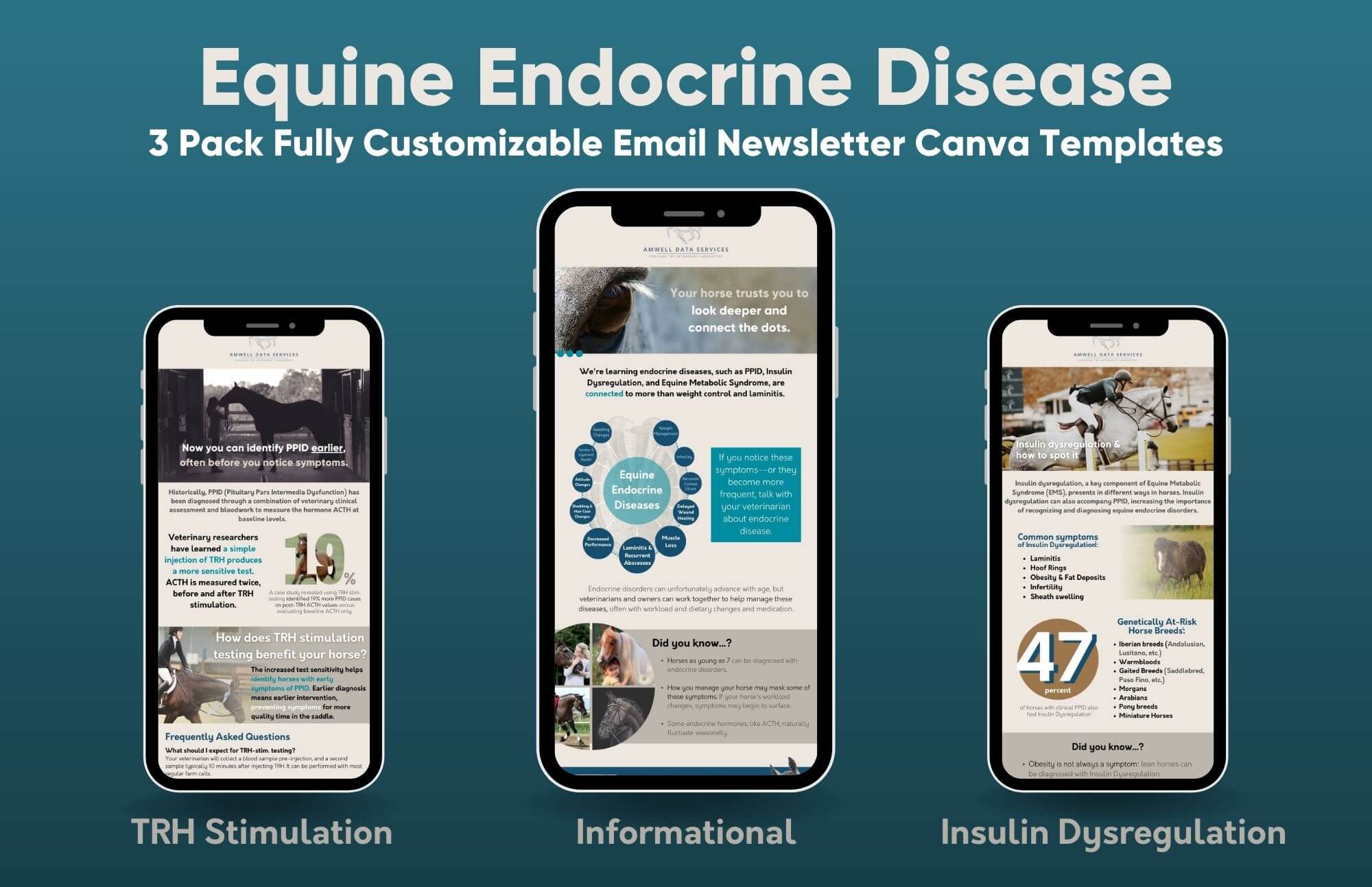 Equine Endocrine Disease Email Newsletter Canva 3 Pack